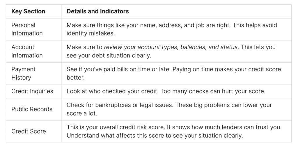 Credit Bureau Singapore Report Sample: What to Look For